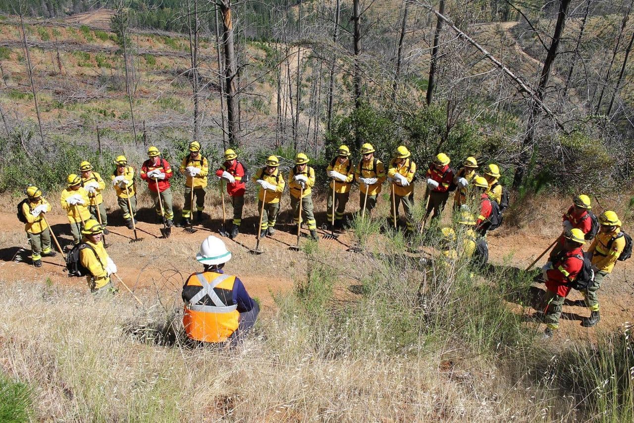 Brigadistas forestales con casco amarillo y herramientas escuchan a un instructor en una ladera